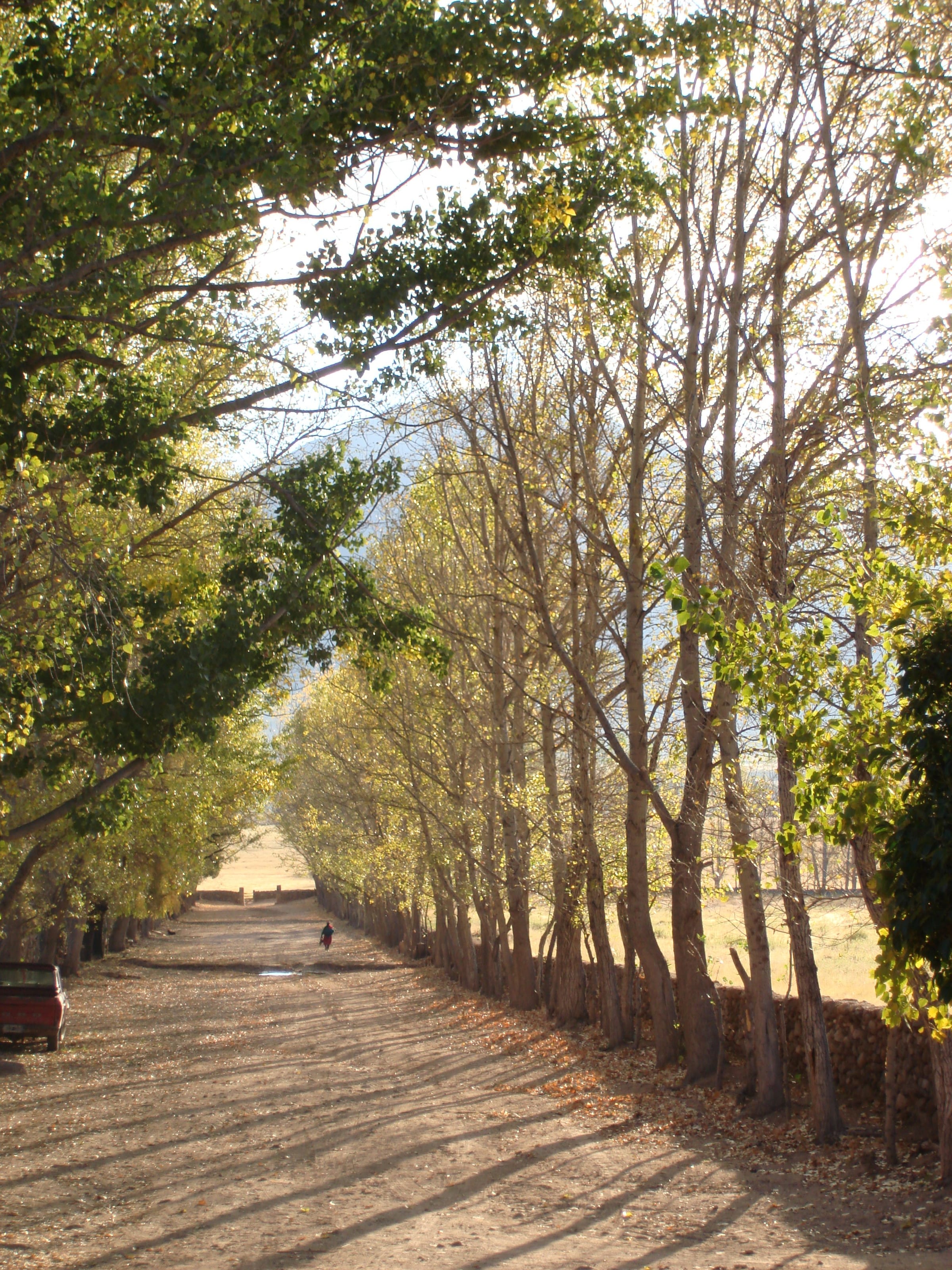 Finca Gualfín 1